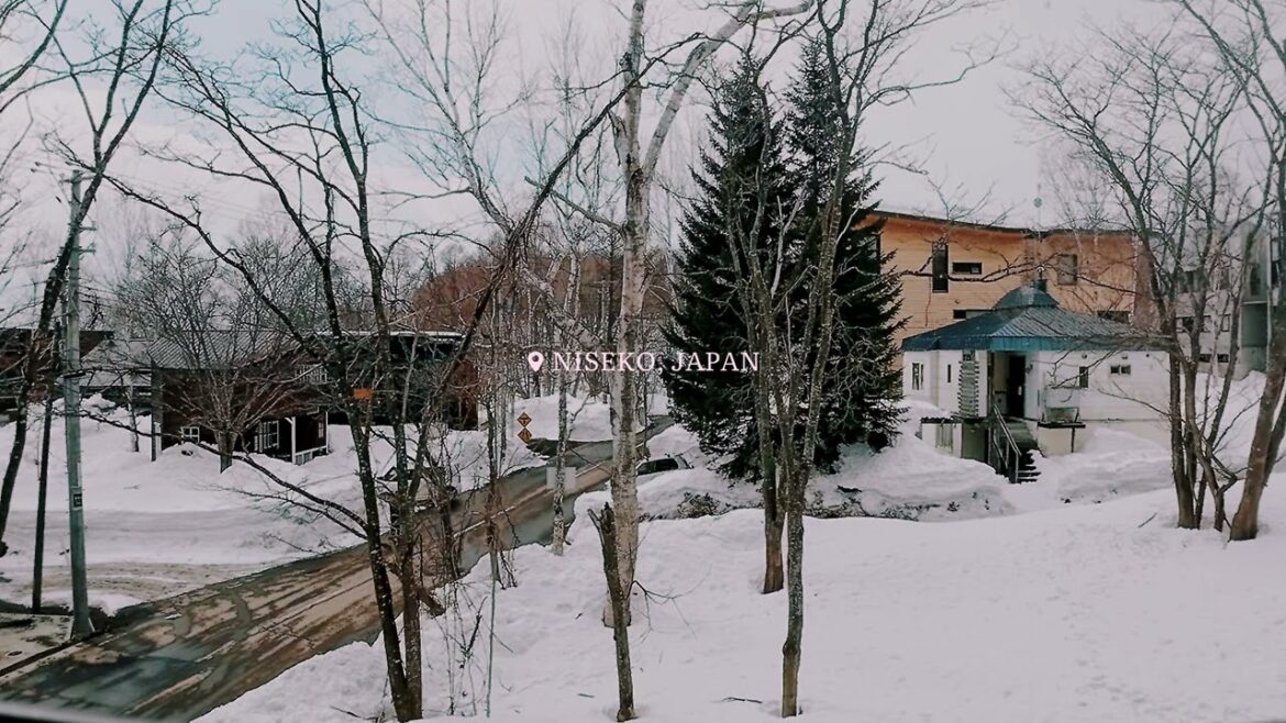 🇯🇵 Enjoying the snow-y afternoon by the window in Niseko, Japan