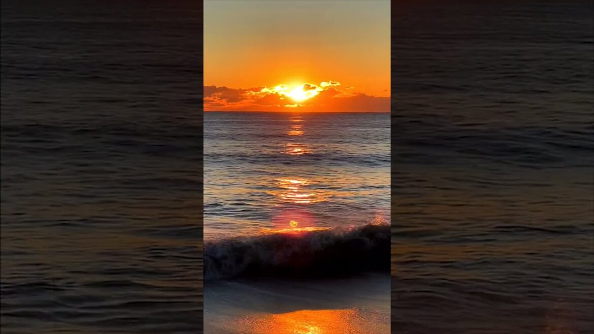 【日本生活】我集齊了2022所有幸運畫面，還不快來評論區許願！ #小宇帶你遊日本