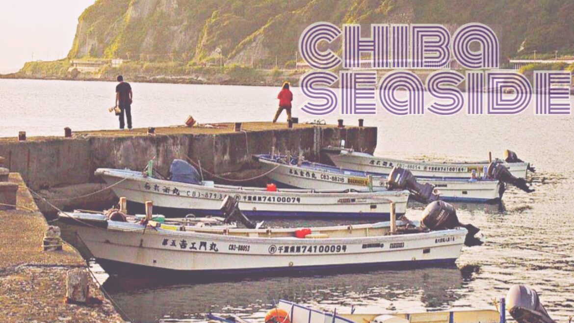 Chiba Seaside Town #japan #hyakka