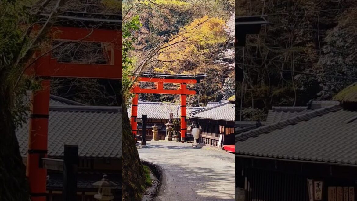 #пончпутешественник #japan #kyoto #Kawaguchiko #fuji #osaka #nara #hiroshima #miyajima