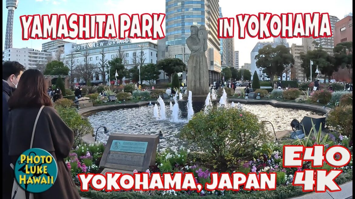 Yamashita Park in Yokohama on Christmas Day E40 December 25, 2022 Yokohama Japan Yamashita Park in Yokohama on Christmas Day E40 December 25, 2022 Yokohama Japan