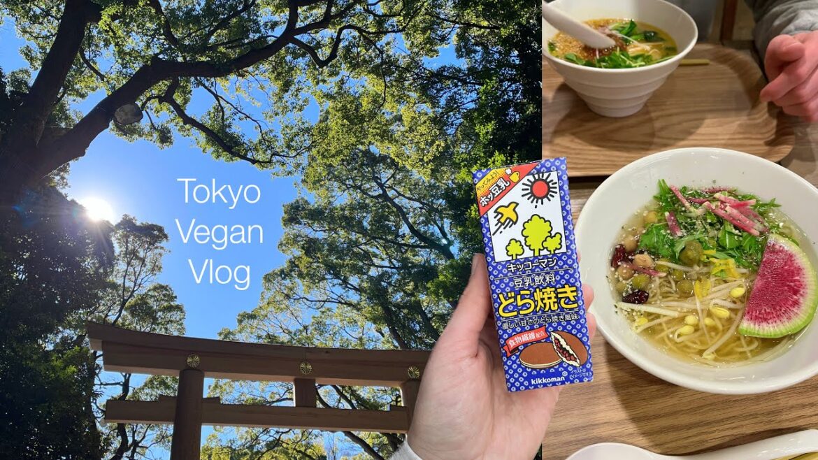 Relaxing Tokyo Day | Meiji Shrine β©οΈ Yuzu Ramen π | Japan Vegan Travel – Part 9 Relaxing Tokyo Day | Meiji Shrine β©οΈ Yuzu Ramen π | Japan Vegan Travel - Part 9