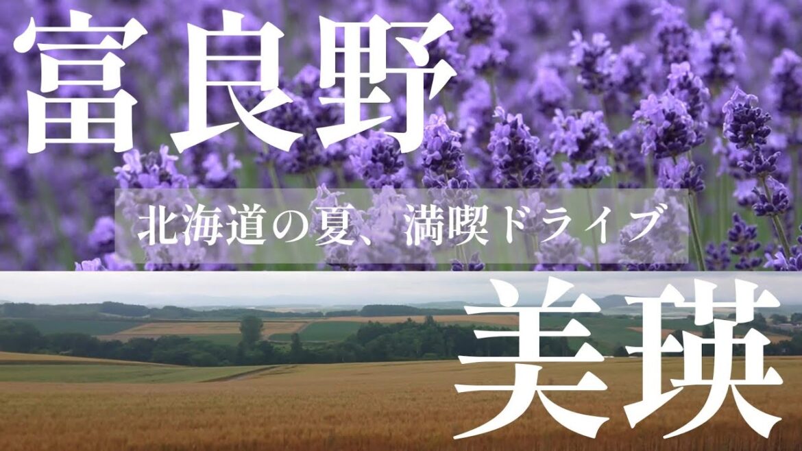 【富良野・美瑛】北海道の夏、満喫ドライブしました 【富良野・美瑛】北海道の夏、満喫ドライブしました