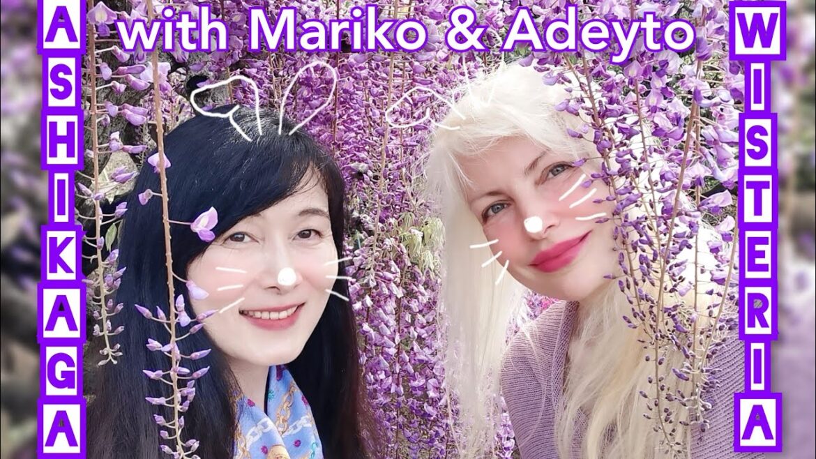 ð° Adeyto & Mariko at JAPAN’s HUGEST WISTERIA TREE ASHIKAGA FLOWERS PARK ðš feat. YUU Kitty ð° Adeyto & Mariko at JAPAN's HUGEST WISTERIA TREE ASHIKAGA FLOWERS PARK ðš feat. YUU Kitty