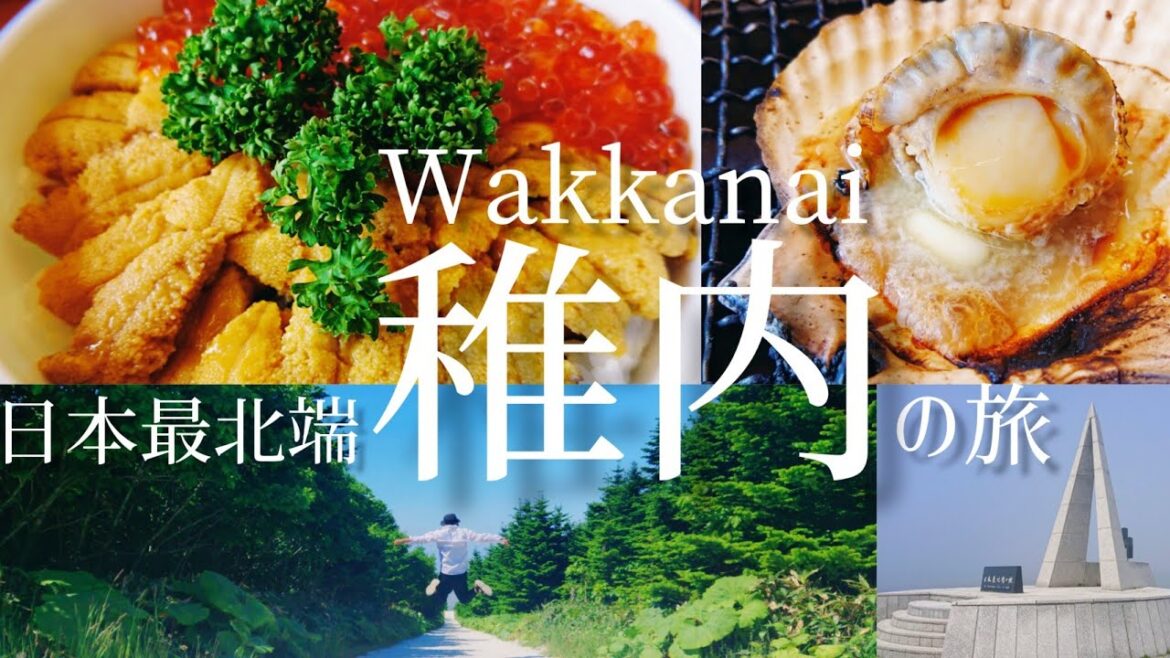 【日本最北端の街】稚内飯と絶景を味わい尽くす旅