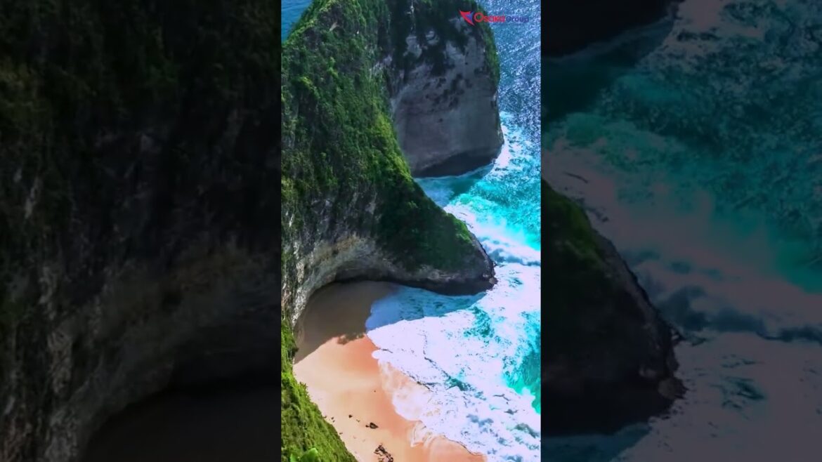 Discover Bali: A Journey Through the Island's Rich Culture and Natural Beauty | Osaka Connect|#bali