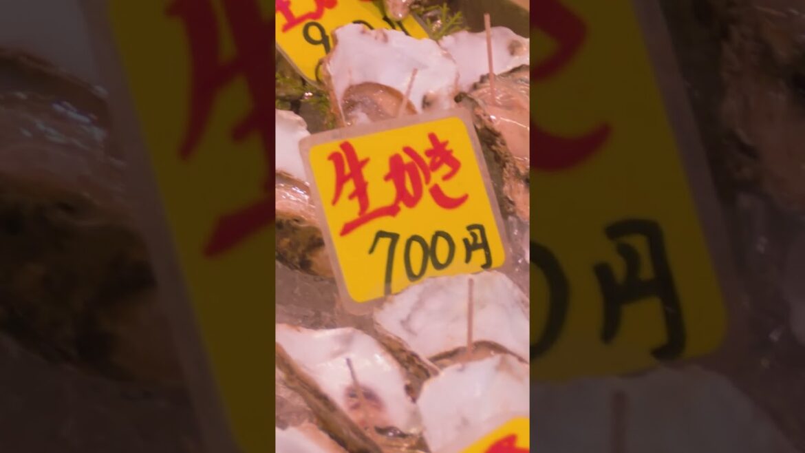 Beautiful seafood market in Tokyo, Tsukiji | Amazing Japan Travel Adventure Documentary Beautiful seafood market in Tokyo, Tsukiji | Amazing Japan Travel Adventure Documentary