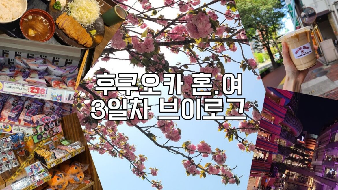 어쩌다보니 혼자 떠나게 된 후쿠오카 여행 | 일본여행 브이로그 | 하카타 | 텐진 | 돈키호테 | 캐널시티 | Fukuoka travel Vlog | Travelog