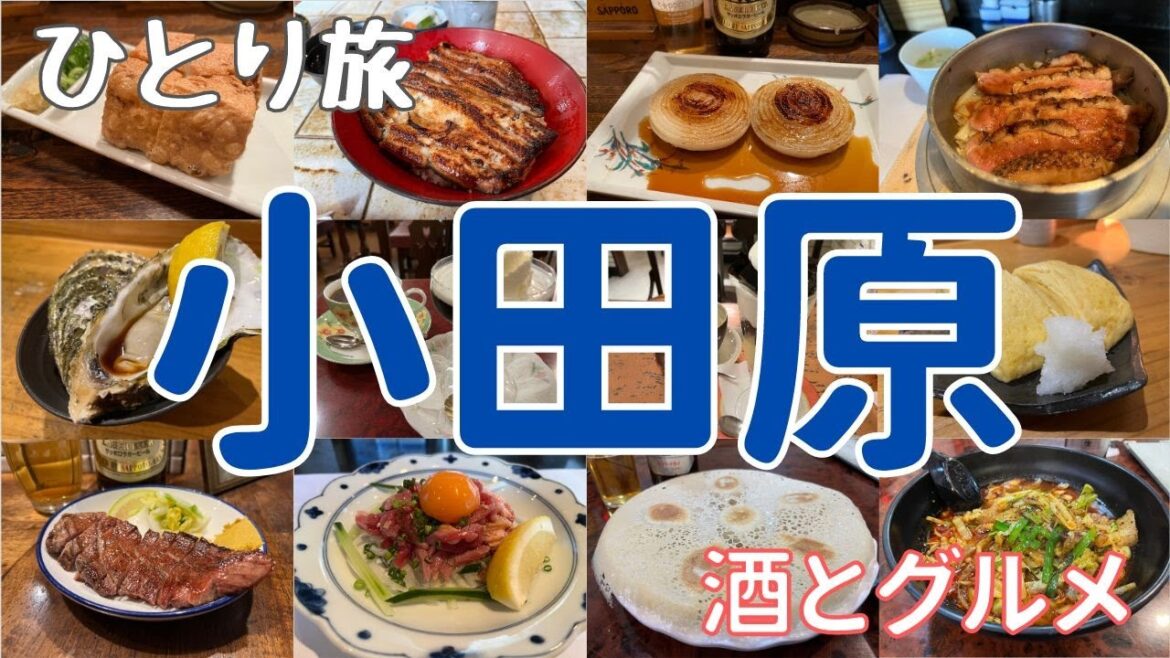 小田原のグルメを食べ尽くせ!1泊2日のひとり旅 小田原のグルメを食べ尽くせ!1泊2日のひとり旅