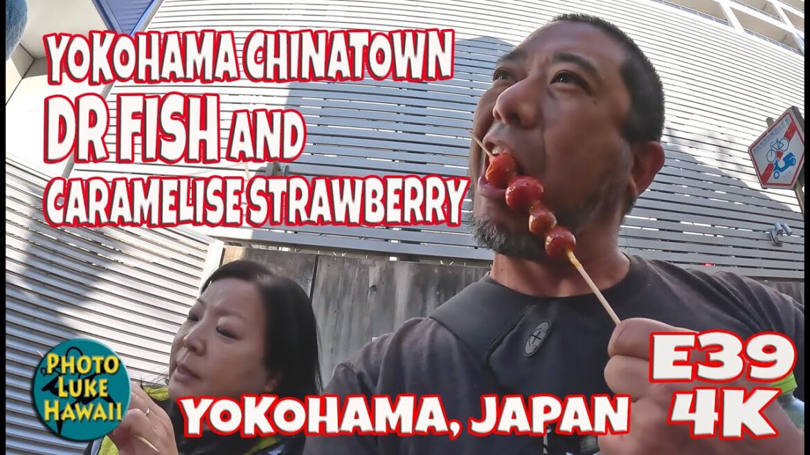 Yokohama Chinatown Dr Fish and Eating Caramelise Strawberry E39 December 25, 2022 Yokohama Japan