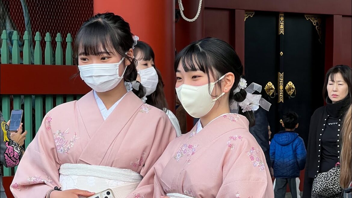 Kyoto to Nara to see bowing deer at Nara Park Kyoto to Nara to see bowing deer at Nara Park