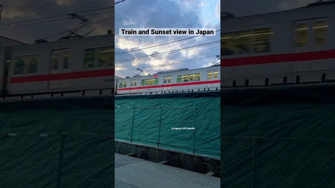 Train and sunset view in Japan #train #shorts #travel #railway #sunsettime #日本 #kobe