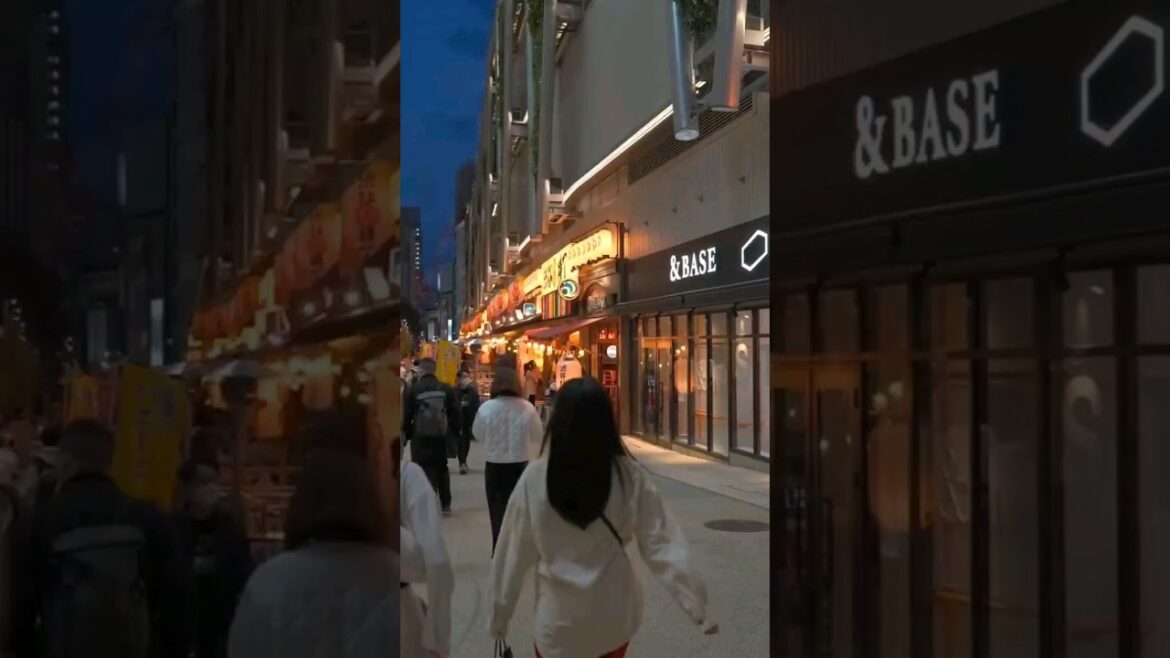 Tokyo's Luxury Neighborhoods