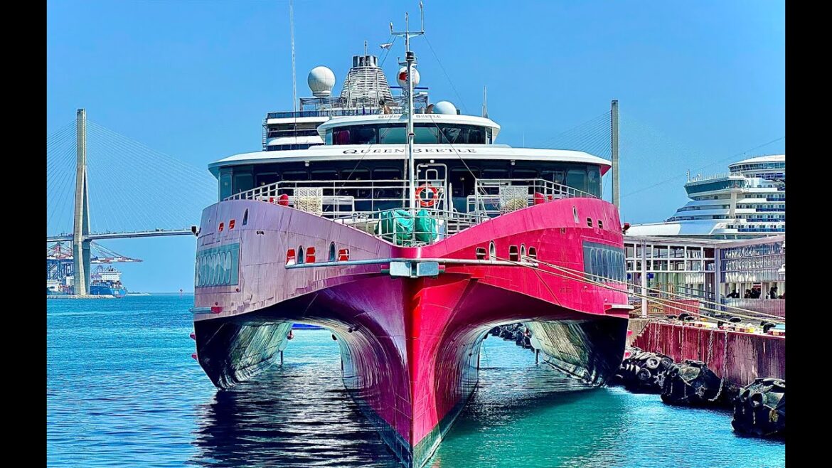 퀸비틀 비즈니스클래스, 부산항에서 후쿠오카까지 배타고 가봤습니다. 퀸비틀 비즈니스클래스, 부산항에서 후쿠오카까지 배타고 가봤습니다.