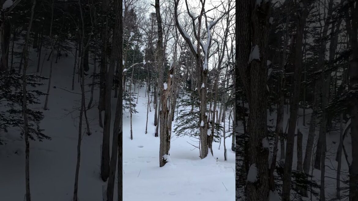 El sendero natural de Bokke (el barro volcánico) 2: Akan, Hokkaido #shorts