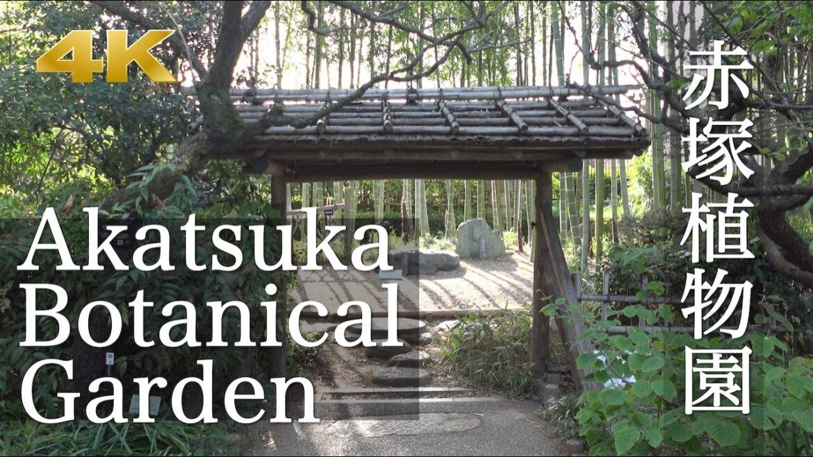 [Tokyo Walk] Akatsuka Botanical Garden Walking Tour - 4K 👀✨