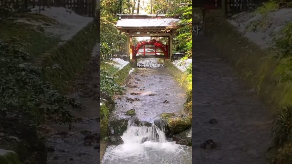일본여행, 니가타현 야히코 신사. Travel to Japan, Yahiko Shrine in Niigata Prefecture.