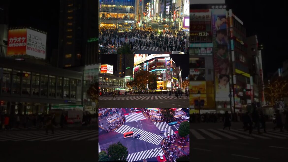 Shibuya Crossing Night: Tokyo's Bustling Urban Heartbeat | Triple View #Shorts