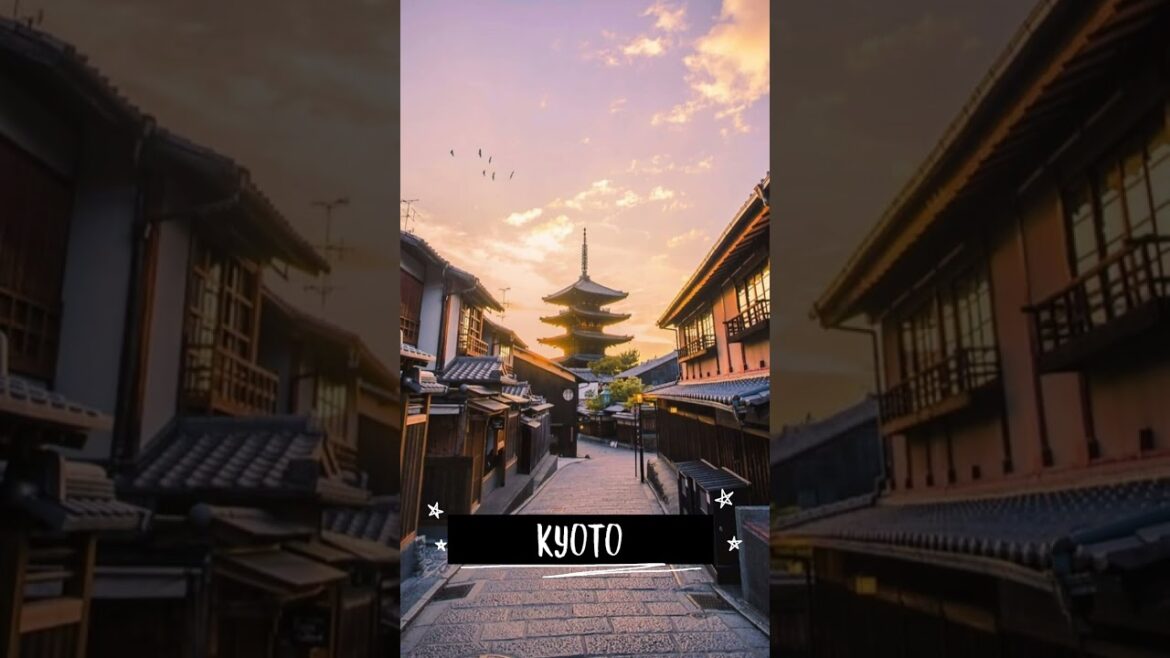 Best Place To Visit In JAPAN🇯🇵🏯/ tour- #2 / Nidhi / #youtube #shorts