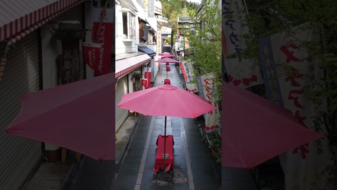 北向観音 #長野 #nagano #japantrip #japantravel #japanesetemple