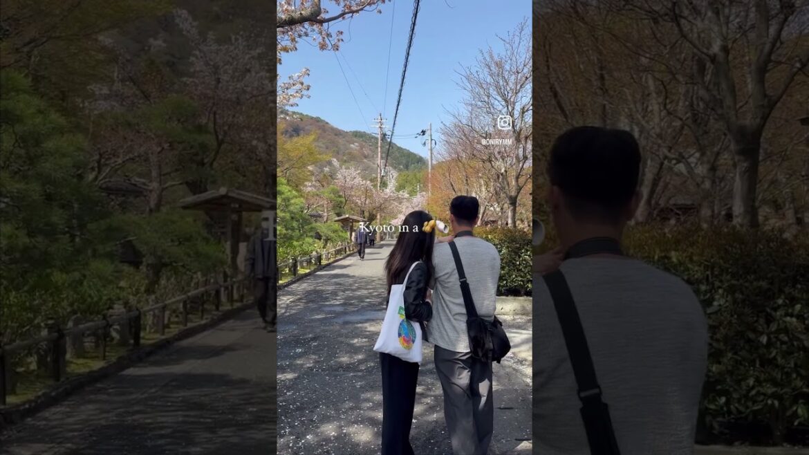 kyoto in a 🥜🐚