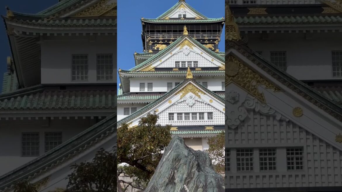 Exploring Osaka Castle: A Glimpse into Japan's Rich Cultural Heritage