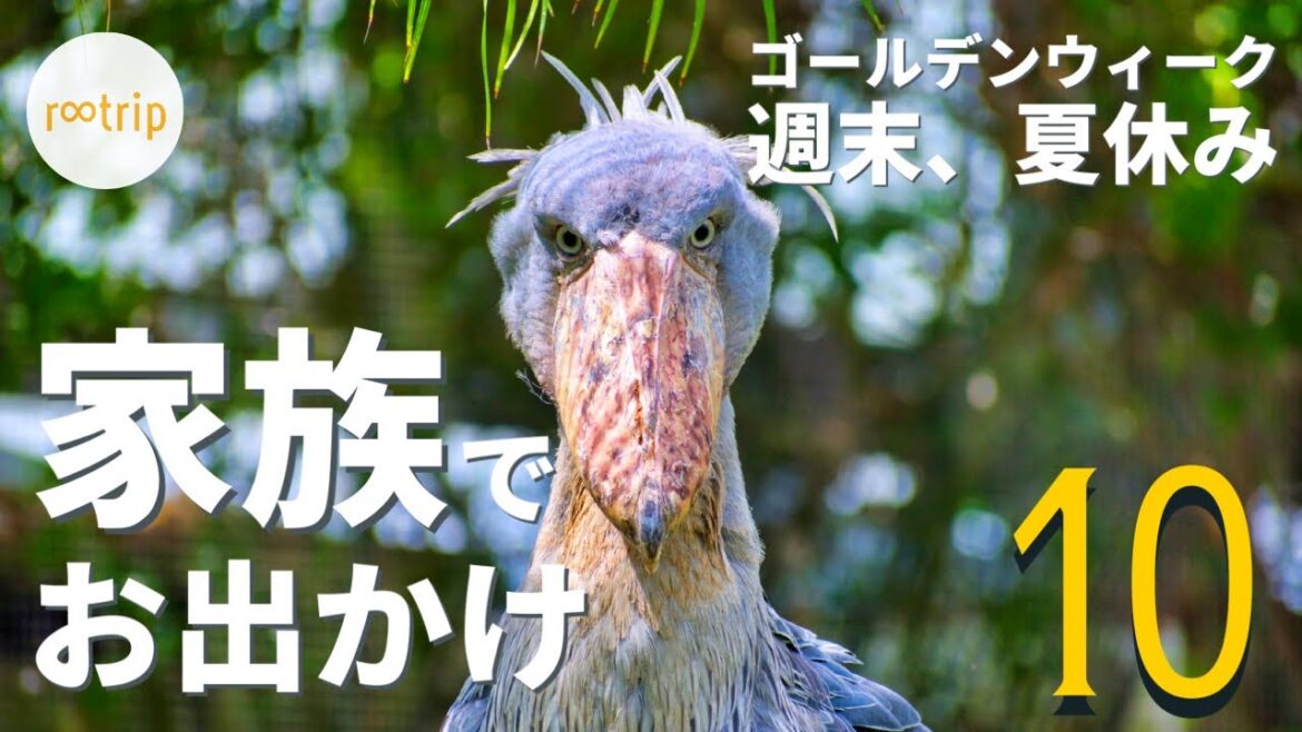 【関西】家族でお出かけオススメのスポット１０選　ゴールデンウィーク・夏休み・家族三世代旅行・雨でも楽しめるスポットなど