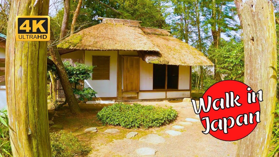 Wandering around a Traditional Japanese Garden (4K 60 FPS)