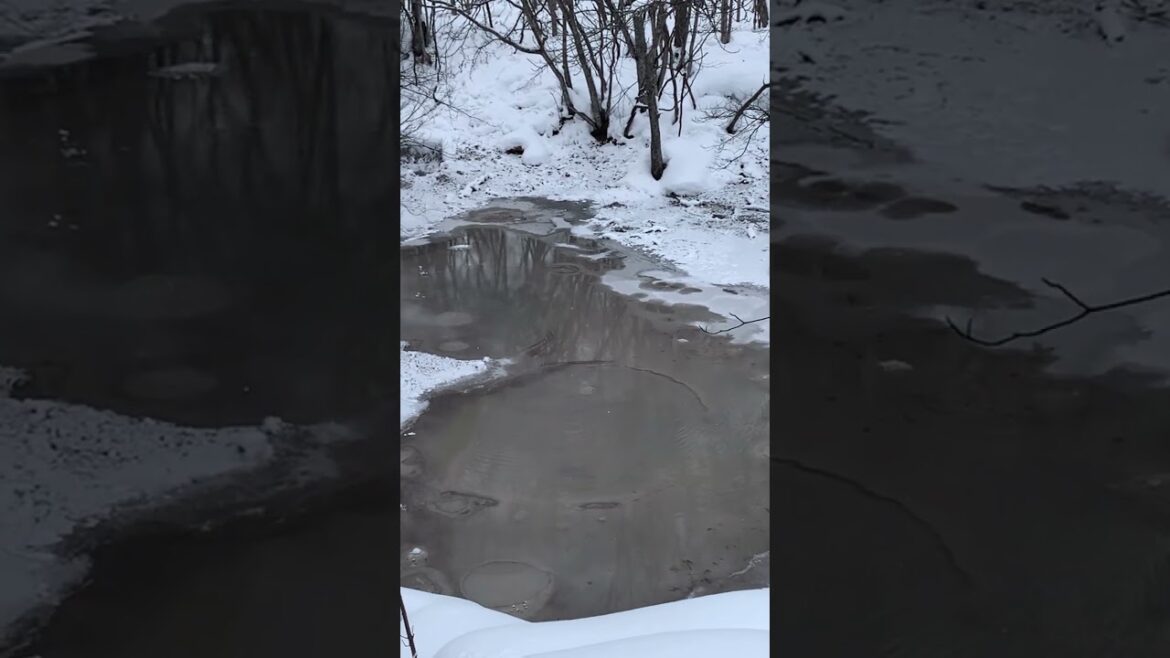 El sendero natural de Bokke (el barro volcánico) 3: Akan, Hokkaido #shorts