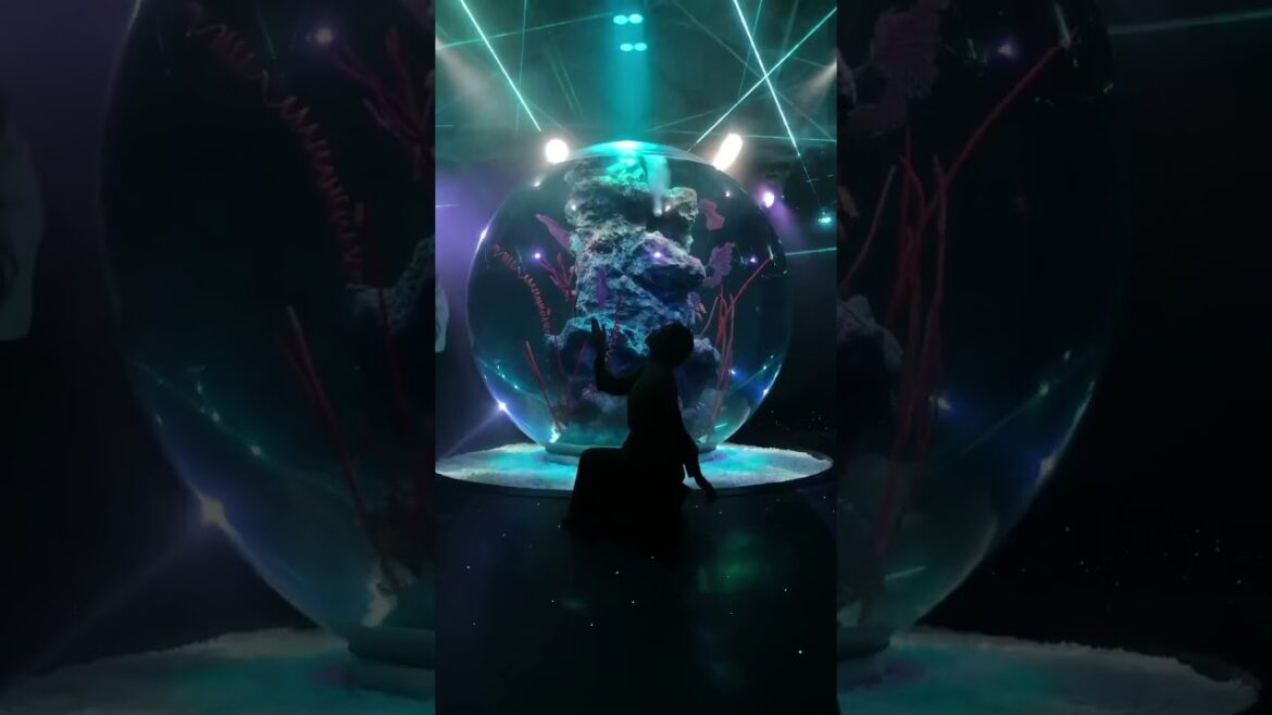 πΊ π―π΅ #japan #short #shorts #travel #vacation #explore #globetrotter #monde #shortsfeed #japanese πΊ π―π΅ #japan #short #shorts #travel #vacation #explore #globetrotter #monde #shortsfeed #japanese