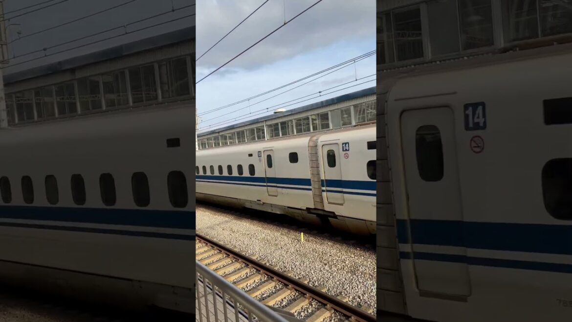 🚅 Bullet Train in #japan