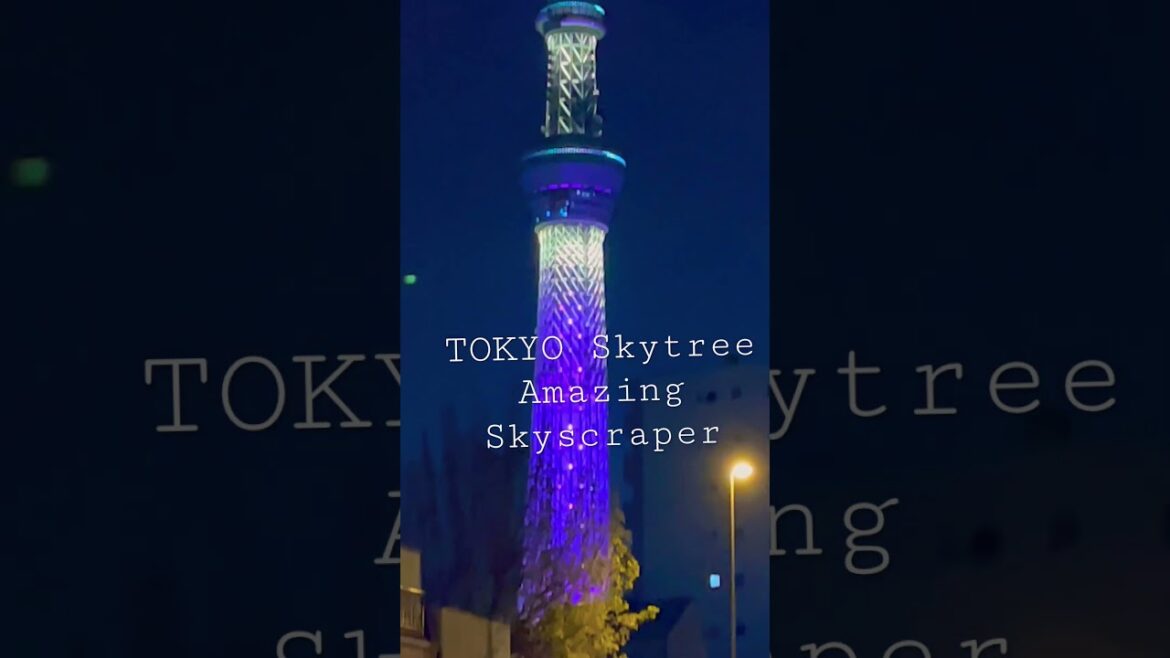 AMAZING SKYSCRAPER          #japan #travel #fun #happy #skytree #amazing #skyscraper #enjoy #tokyo