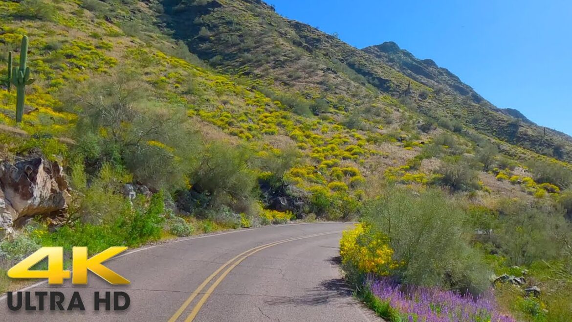 Dobbins Lookout Phoenix Arizona Scenic Drive 4K | Best Road in Phoenix