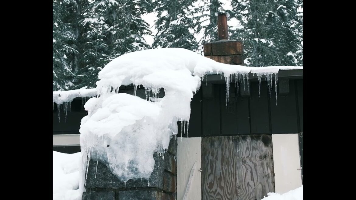 Sea, Seals, Seattle… Sea, Seals, Seattle...