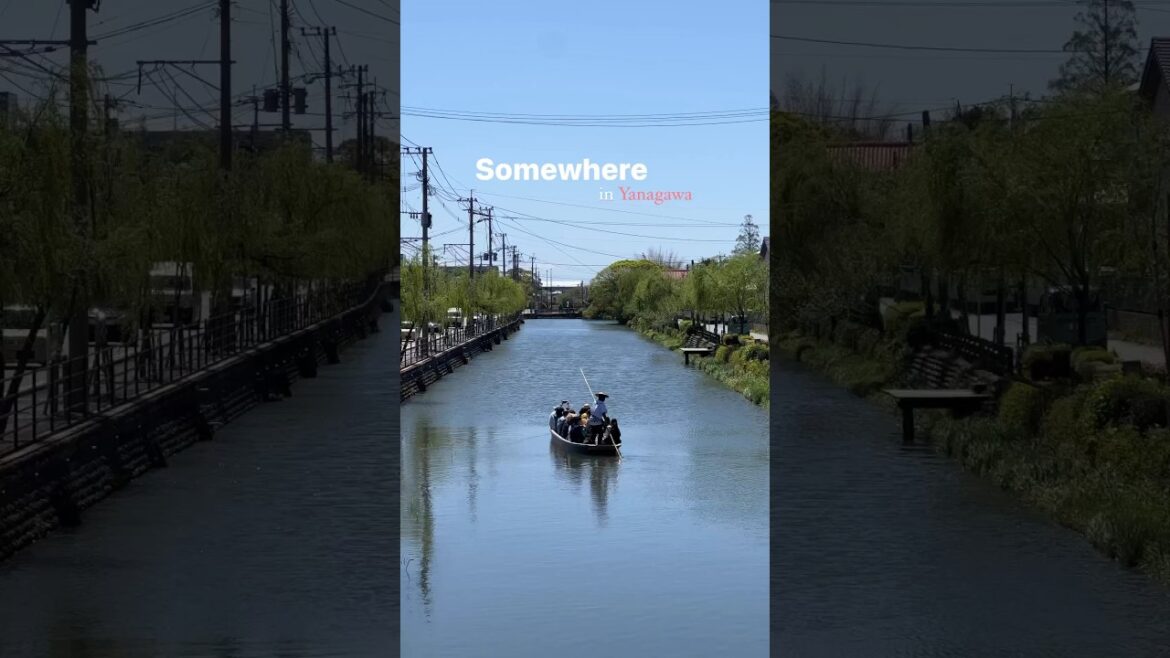 Somewhere in Yanagawa, Fukuoka Japan ✨🛶🌸 #japantravel