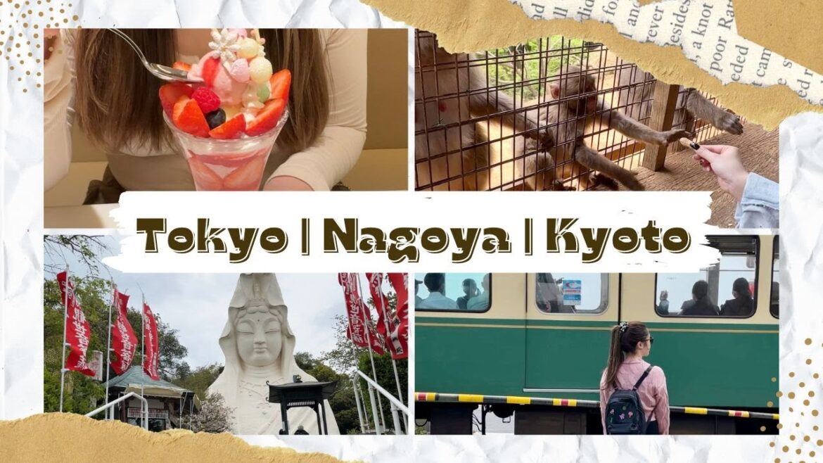 ✶ Travel Vlog #29 ✶ TOKYO, NAGOYA + KYOTO 2023 ✶ Travel Vlog #29 ✶ TOKYO, NAGOYA + KYOTO 2023