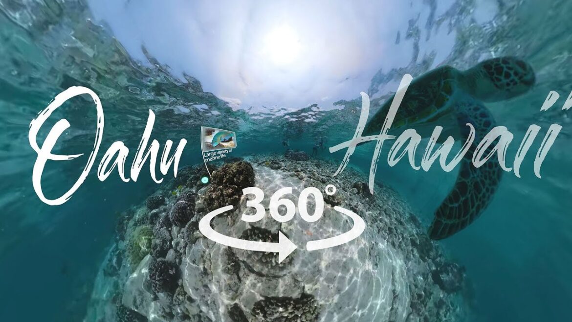 Take a 360° Video Tour of Oahu, Hawai'i