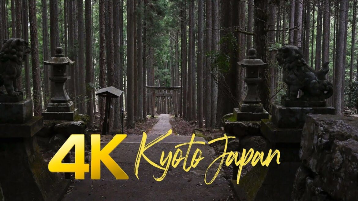 神秘的な神社 京都 4k Mysterious shrines Kyoto