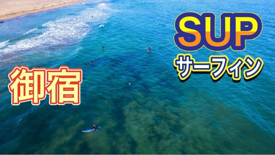 【御宿海岸でサーフィン&SUP】ドローン空撮 【御宿海岸でサーフィン&SUP】ドローン空撮