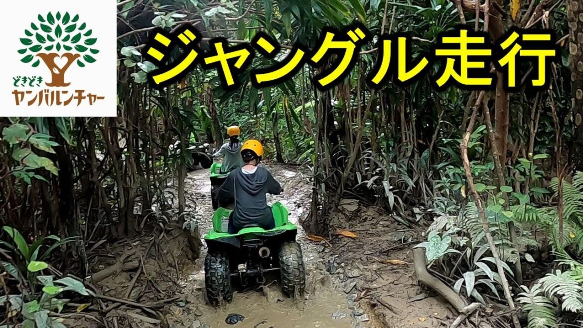 【沖縄】バギーライドツアー ジャングル編 どきどきヤンバルンチャー Buggy Tour Okinawa japan 【沖縄】バギーライドツアー ジャングル編 どきどきヤンバルンチャー Buggy Tour Okinawa japan