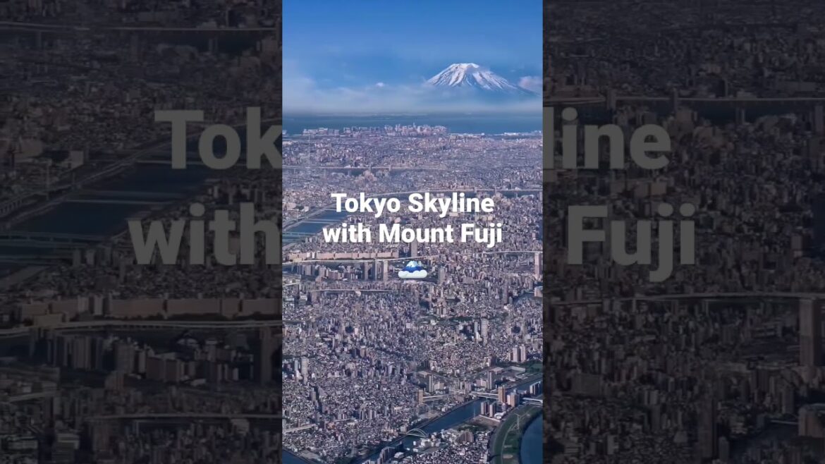 Tokyo Skyline with Mount Fuji 🗻. #sanjeevanitravelsshimla #shortsfeed #tokyoskyline #mountfuji