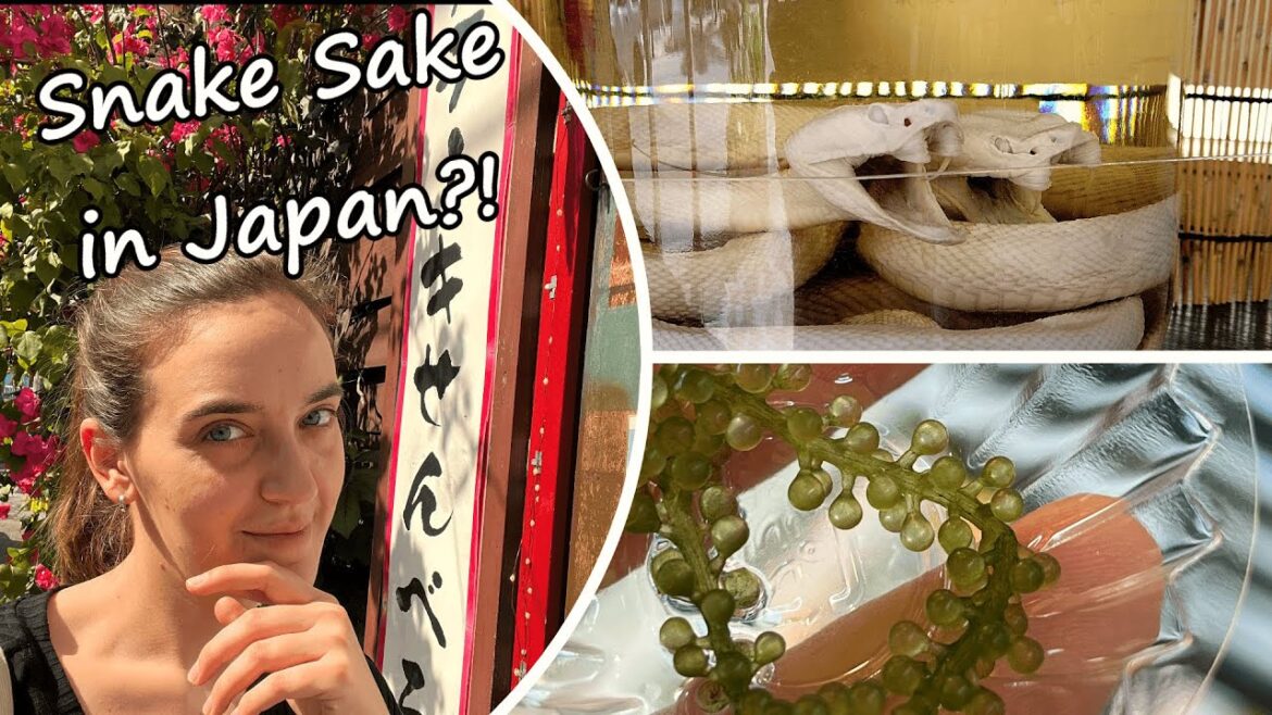 Exploring Kokusai Street in Okinawa - Weirdest stuff in Japan!?