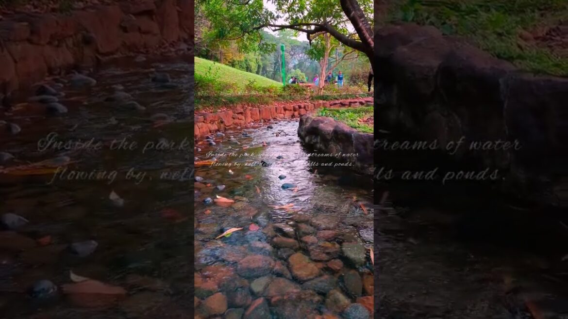 Paradise Pune in 59 Secs 4K #shorts #pune