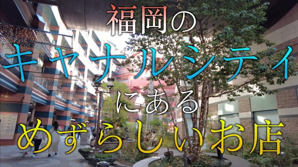 【福岡のキャナルシティにある　めずらしいお店】キャナルシティ博多　福岡観光　Canal City Fukuoka Japan　일본　후쿠오카　캐널시티　日本　福冈　运河城