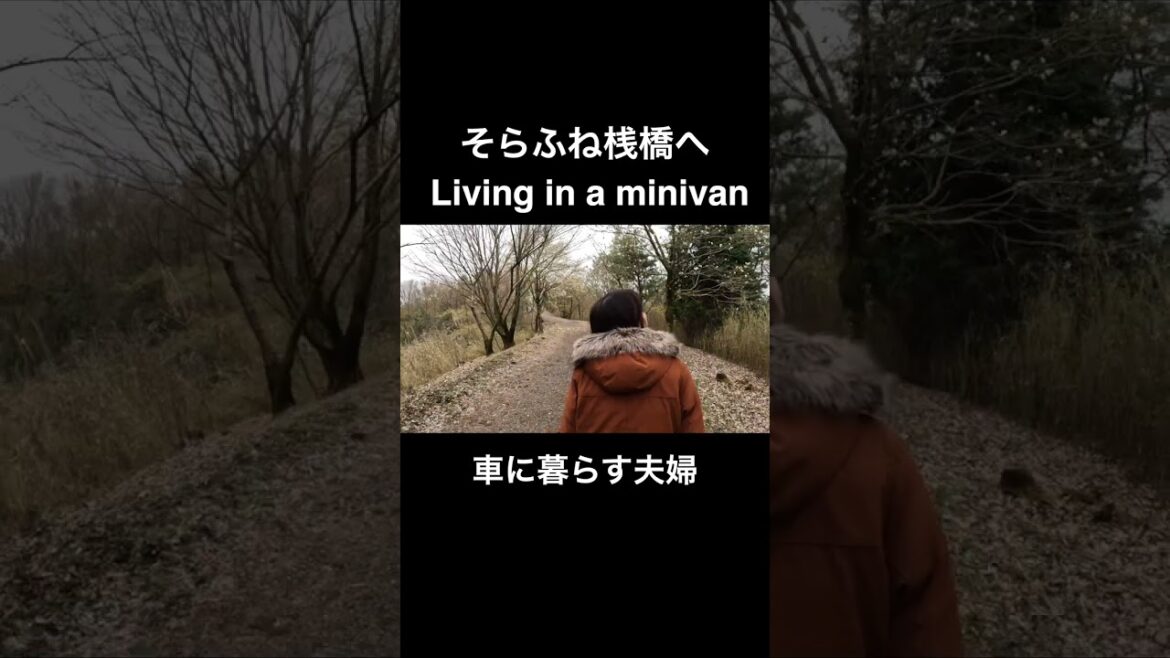 【車中泊】軽自動車で暮らす日常 | Living in a Minivan #shorts 【車中泊】軽自動車で暮らす日常 | Living in a Minivan #shorts