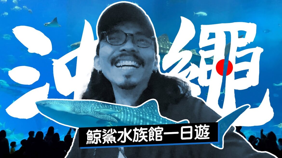 《沖繩自由行》沖繩近郊必玩景點一日遊!景點攻略、交通教學、必吃美食懶人包!鯨鯊美麗海水族館、萬座毛! 《沖繩自由行》沖繩近郊必玩景點一日遊!景點攻略、交通教學、必吃美食懶人包!鯨鯊美麗海水族館、萬座毛!