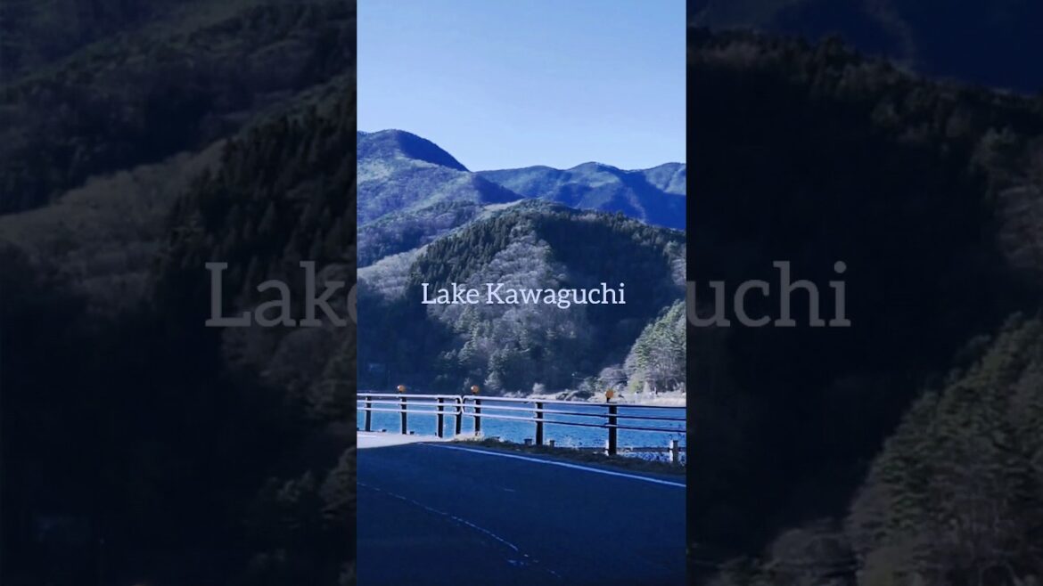 You must go this place that was breathtaking.#japan#mtfuji#chureitopagoda#shots#japantravel#explore You must go this place that was breathtaking.#japan#mtfuji#chureitopagoda#shots#japantravel#explore