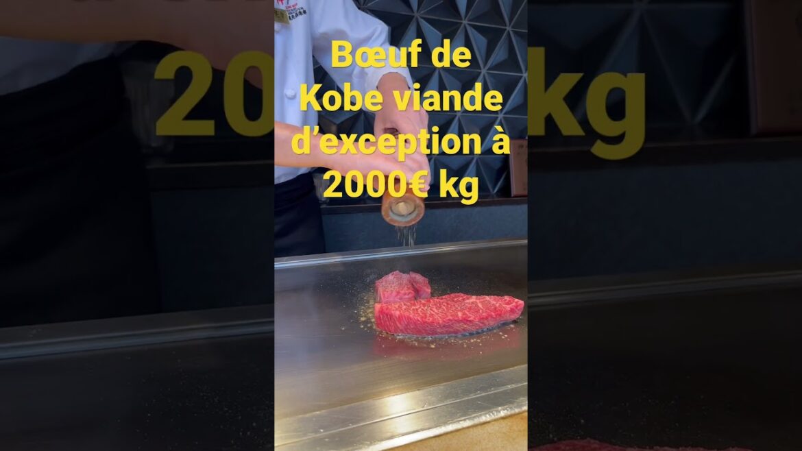 Bœuf de Kobe à 2000€ déception 😢 ?