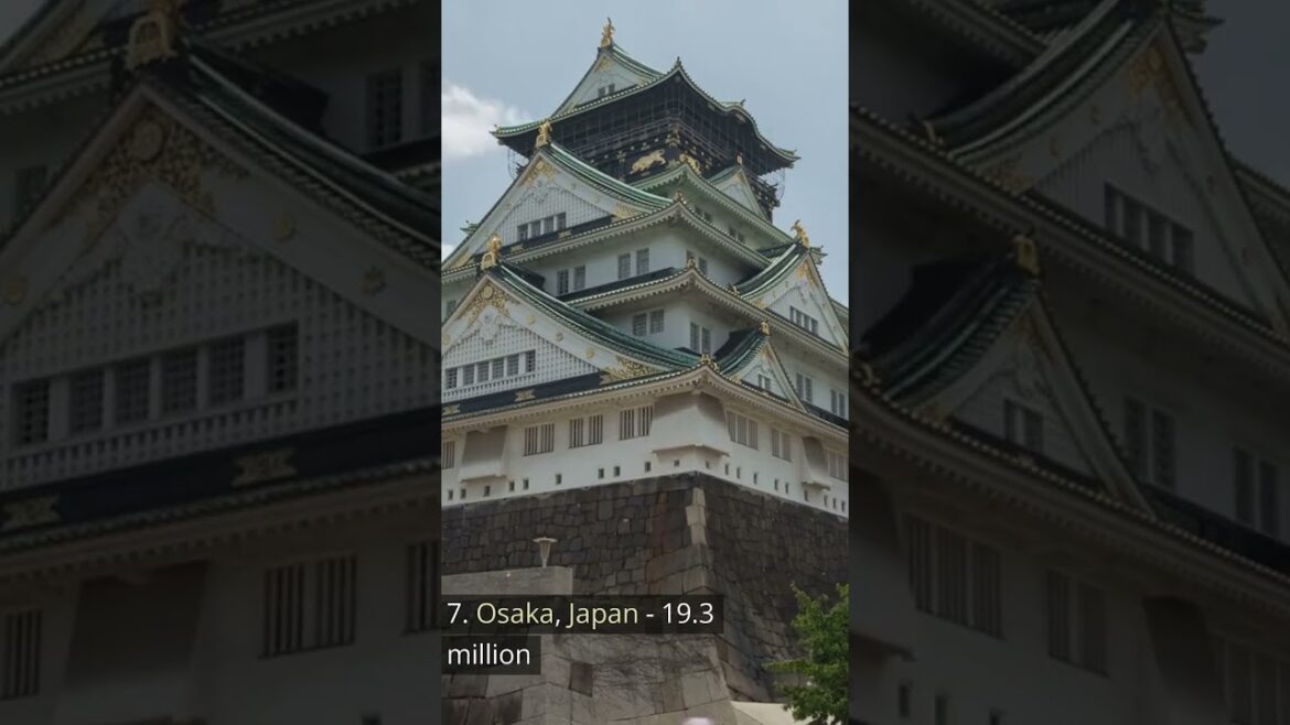 Top 10 Biggest Cities in the World 2023