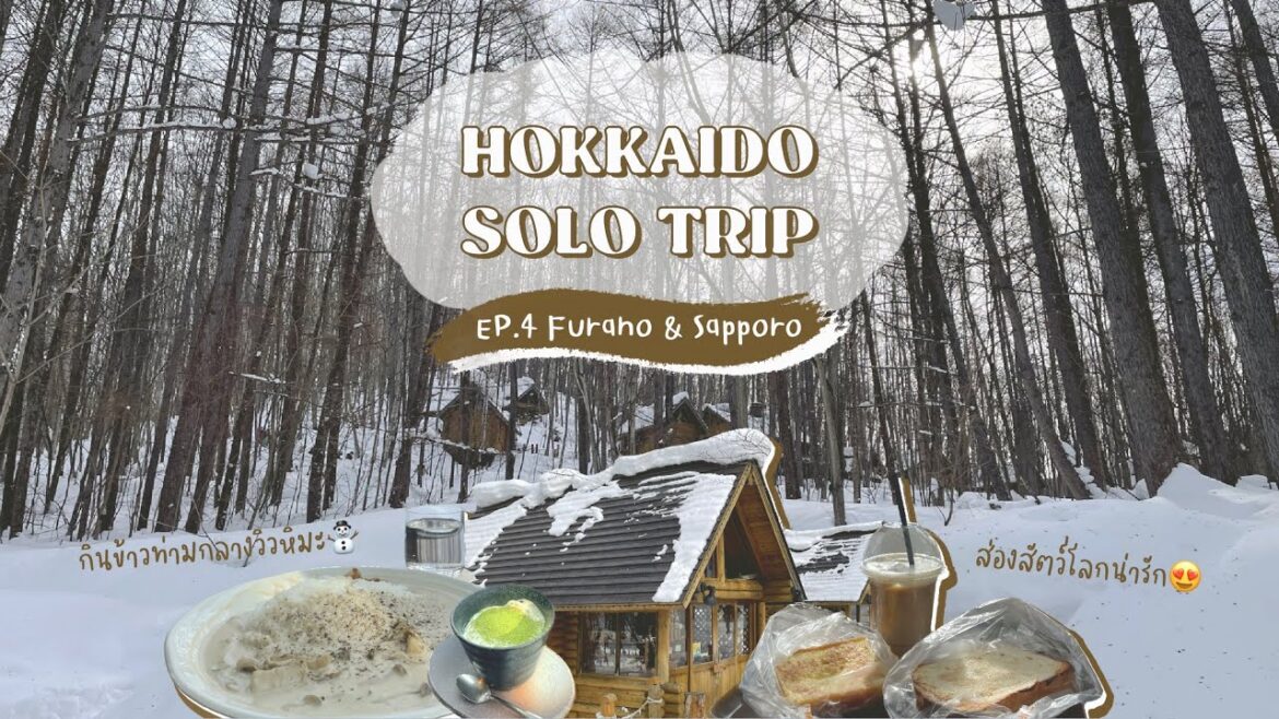 🇯🇵 vlog ep.14 - Hokkaido Solo Trip (4) เที่ยวฟุราโนะชิลๆ & ส่องสัตว์โลกน่ารัก 🥰 | Miruシ
